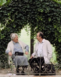 Jardins en automne