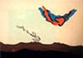 The Bird / L'oiseau