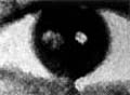 Nice to see you / Enchante